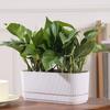 Double Layer Self Watering Flower Pot Plastic Flower Planter Hydroponics Plant Pot  Garden Supplies
