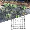 Uniform Light-receiving Elastic Net Polyester Elastic Growing Trellis Net with Removable Hook Support Plants for Garden Fence