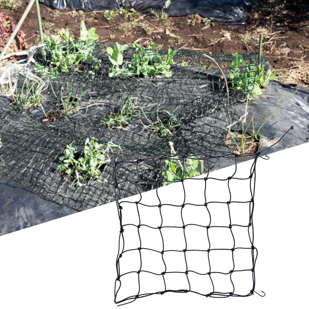 Uniform Light-receiving Elastic Net Polyester Elastic Growing Trellis Net with Removable Hook Support Plants for Garden Fence
