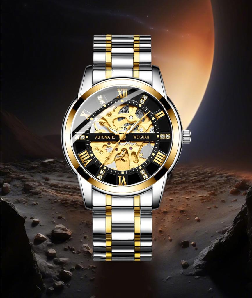 TeamSky Mechanical Automatic Mechanical Roman Stainless Large Day Gift Silver Band Watch, Men's Watch, Steel, Waterproof, Hand-wound Watch, Numerals,