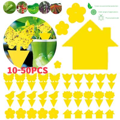 Menaj și curățenie – Împotriva insectelor
