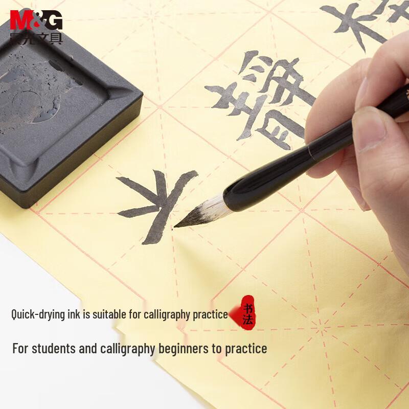 Chenguang Quick-Drying Fountain Pen Ink