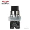 DELIXI LAY5S Series Push Button Switch