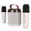 Wireless Karaoke Speakers RGB Light  5.3 Speaker with 2 Wireless Microphones Portable Karaoke Machine for Family Party