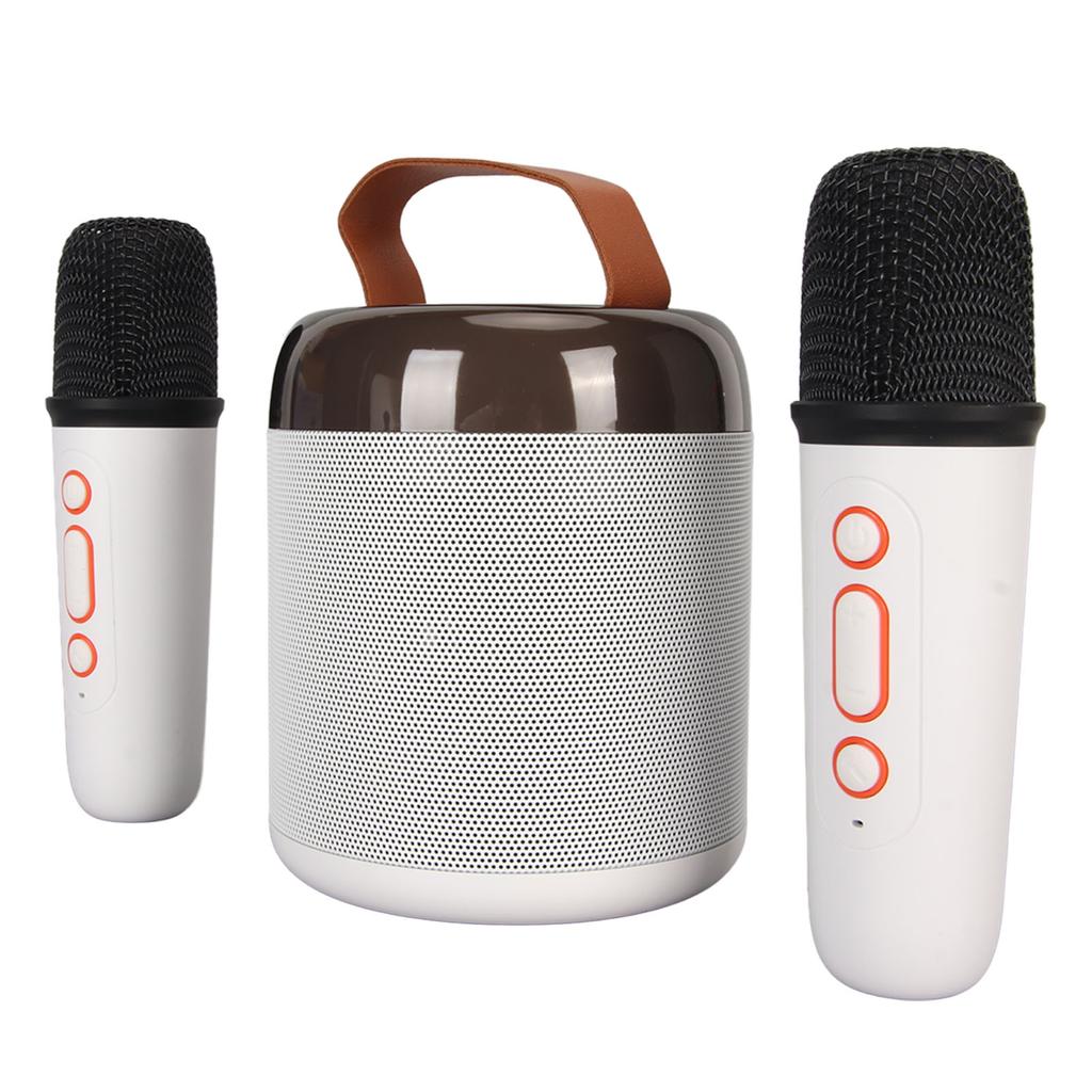 Wireless Karaoke Speakers RGB Light  5.3 Speaker with 2 Wireless Microphones Portable Karaoke Machine for Family Party