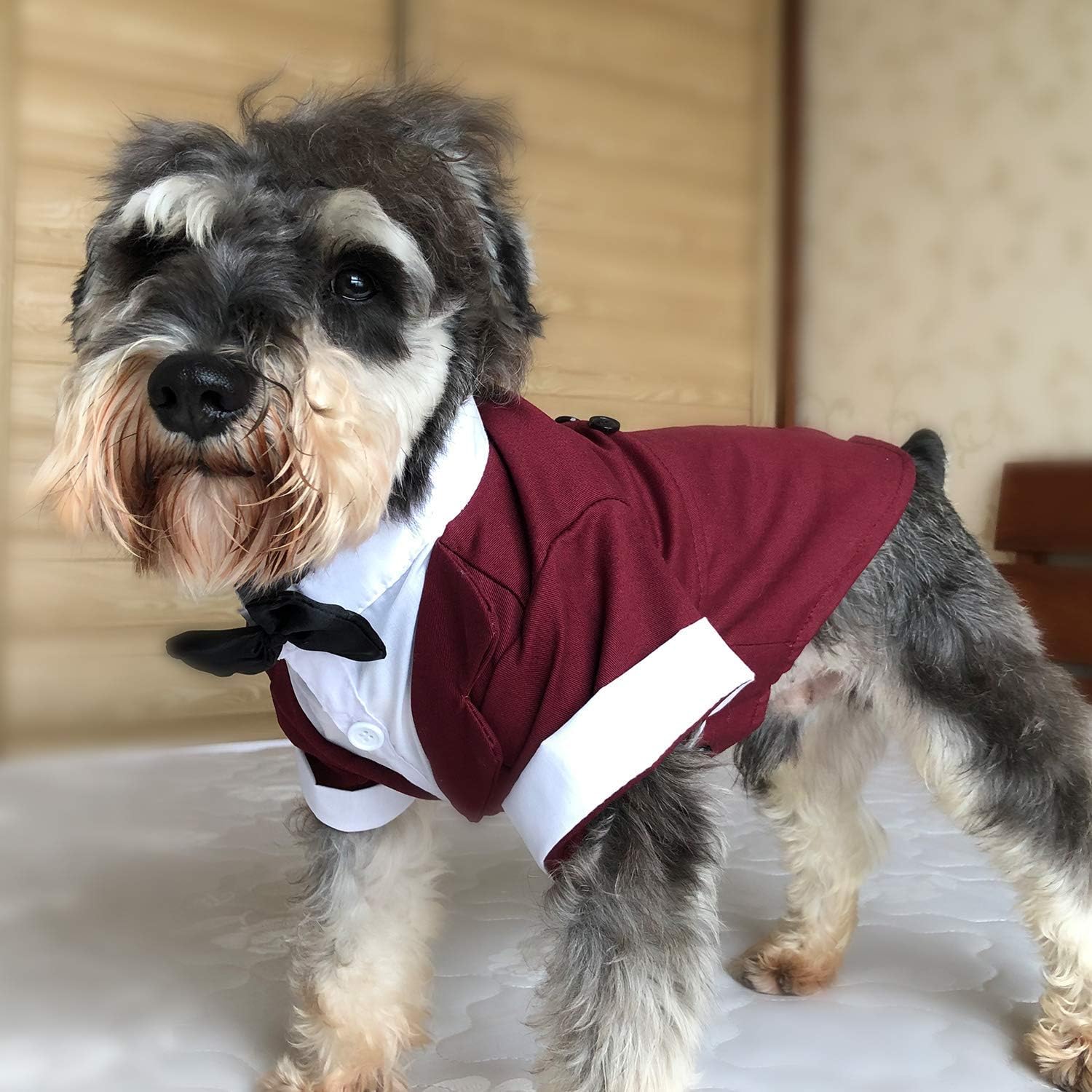 Formeller Smokinganzug mit schwarzer Fliege für kleine Hunde, Haustierkostüm, Haustierspielzeug, Pudelkleidung XS black