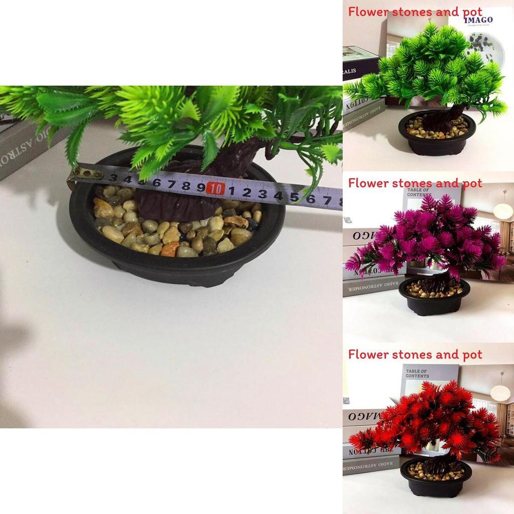 Pinus Hwangshanensis Artificial Bonsai With Plastic Material For Home Decor And Gift Use