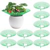 Supporting Frames for Fresh Strawberry Seedlings, Strawberry Planting Frames, Fruit Support Frames To Prevent Rotting.