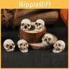 Halloween Skull Collectible Resin Ornament For Event Decoration And Gift Exchange
