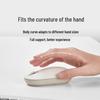Xiaomi Wireless Mouse Lite 2