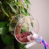 Klarer Acryl-Fenster-Vogelfutterspender Starke Saugnapf-Kette Vogelhaus Rund Transparent Hängender Vogelfutterspender