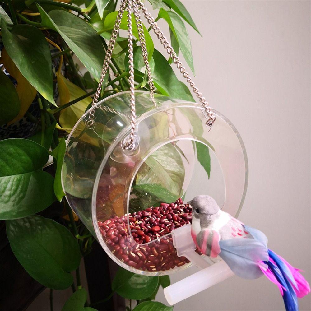 Klarer Acryl-Fenster-Vogelfutterspender Starke Saugnapf-Kette Vogelhaus Rund Transparent Hängender Vogelfutterspender