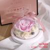Valentines Day Gift for Girlfriend Eternal Rose LED Light Flower In Glass Cover Mothers Day Birthday Party Wedding Decoration