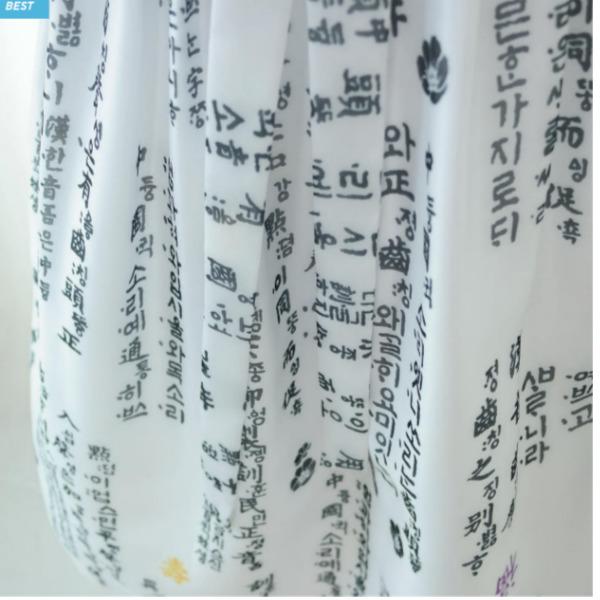 Koreanischer Alltags-Hanbok Hunminjeongeum Weißer Taillenrock