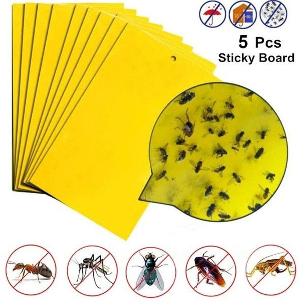 Supplies Insect Killer Fly Catcher Insect Trap Sticky Glue Paper Pest Control Supplies Insect Killer Fly Catcher Insect Trap Sticky Glue Paper Pest Control