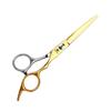 Integrated Gold Silver Stainless Steel Professional Hair Cutting and Thinning Scissors for Salons