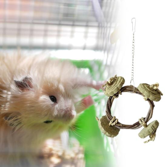 Picture of Bite Resistant Hamster Toy Guinea Pig Toys Apple Branch Alfalfa Cake ...