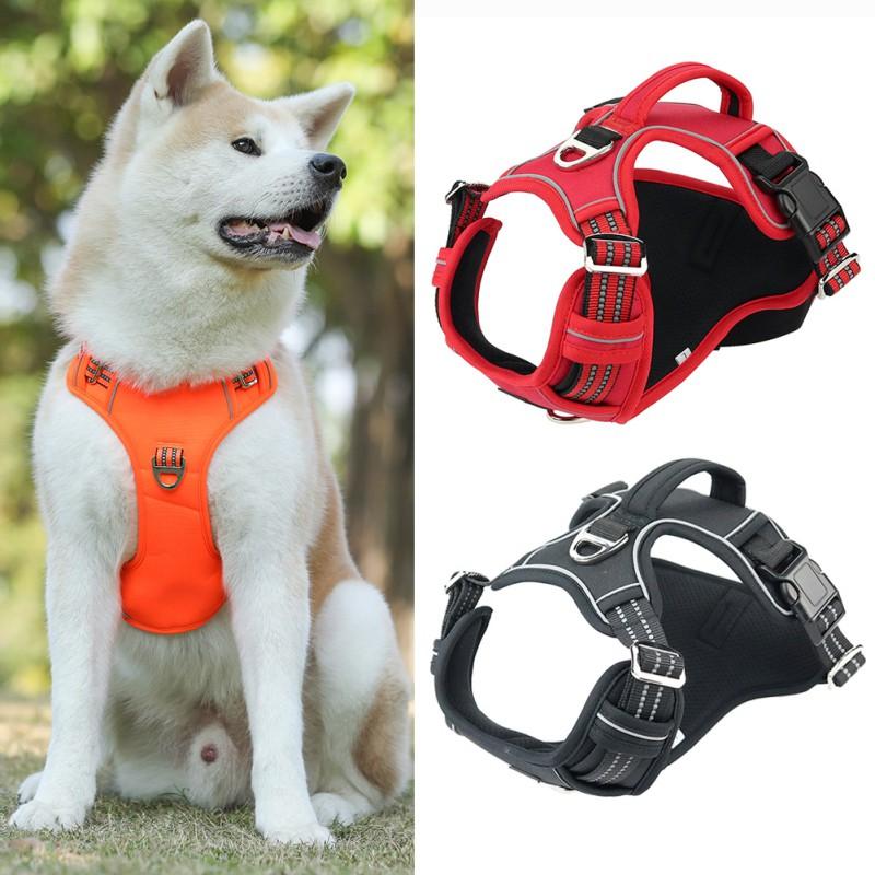 durable dog harness