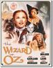 Illustriertes Poster Klassischer Dorthy Film Wanddekor Metallblechschild Aluminium