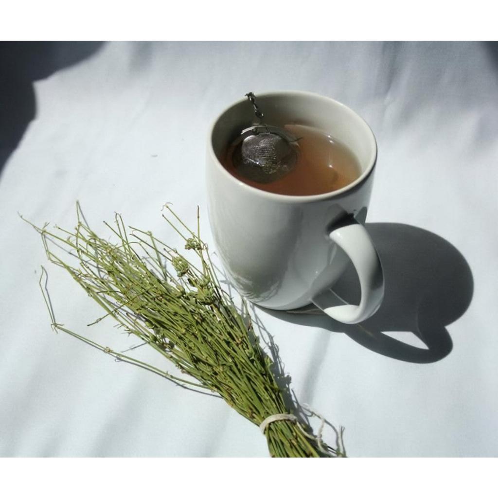 Somlata - Soma - Ephedra Vulgaris - Ephedra Gerardiana (500 Grams)