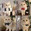 New Cross-Border Pet Bib: Dog Drool Scarf for Small & Medium Breeds, Decorative Cat Accessories