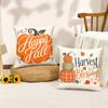 Pumpkin Patch Cushion Cover Double-Sided Plush Sofa Cushion Covers Organic Breathable Invisible Zipper