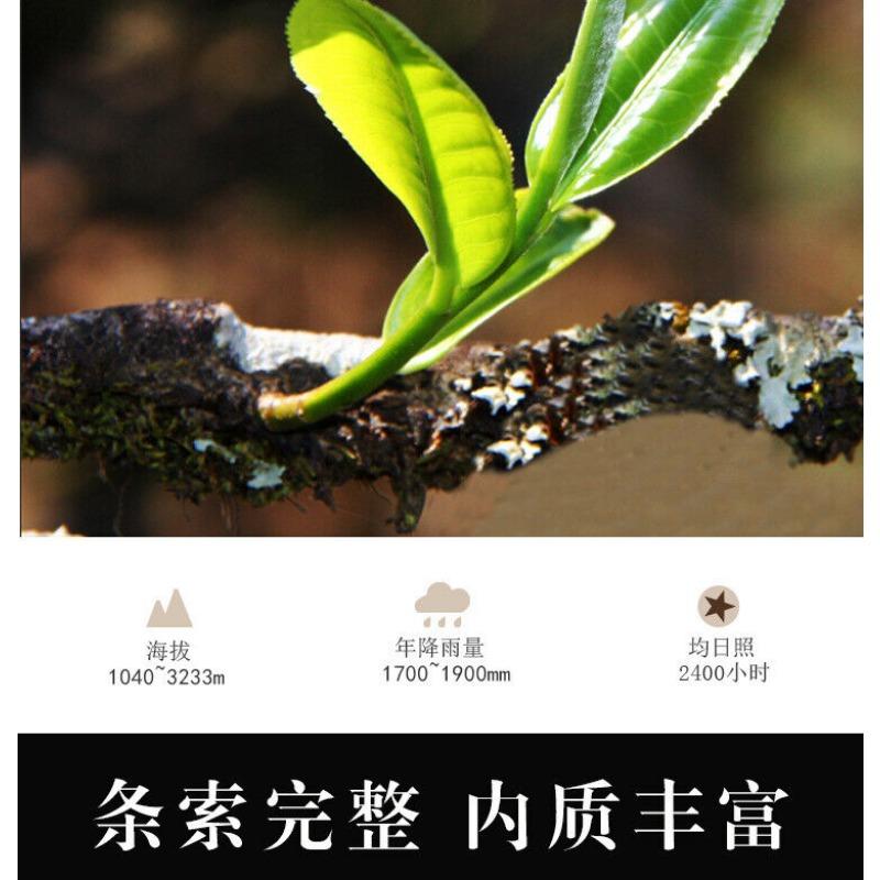 357g Yunnan Ancient Tree Xiaoduosai White Tea Alpine Sun-Dried White Tea Cake