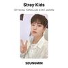 Stray Kids OFFICIAL FANCLUB STAY JAPAN Official Photocard
