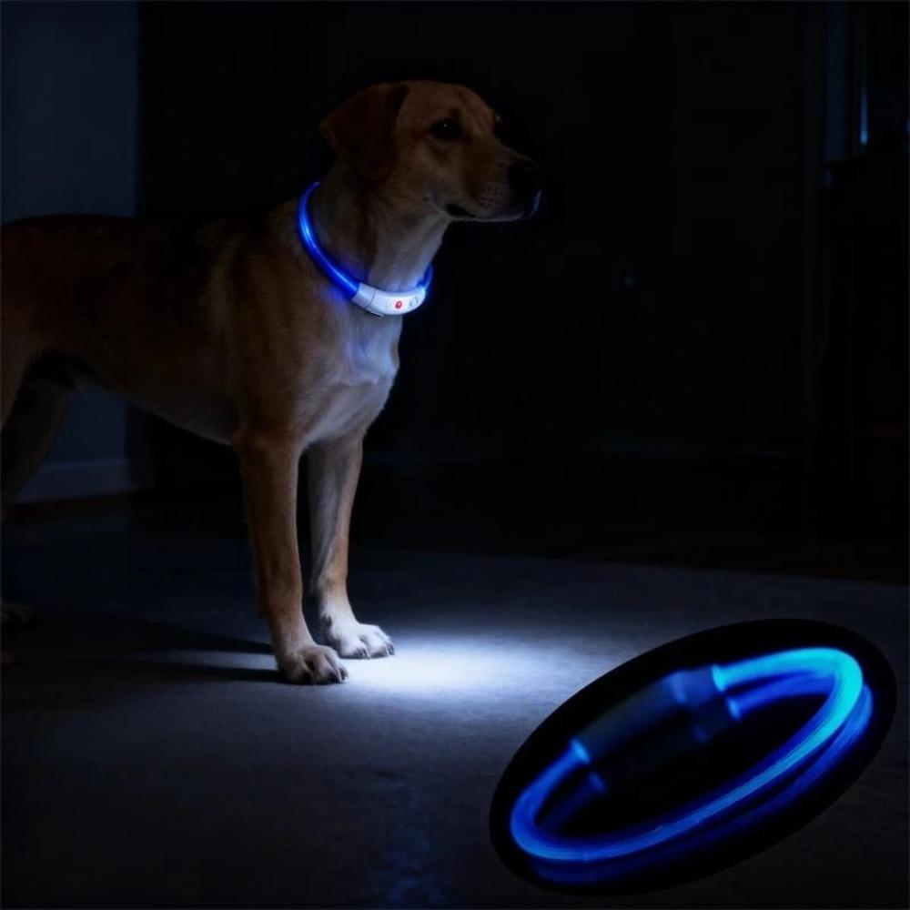New LED Dog Collar USB Rechargeable,3 Mode Adjustable Glowing Dog Collar for Night Walking,Safe Reflective Pet Collar