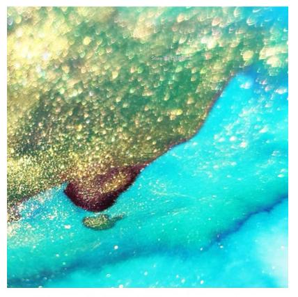 18ml Glass Bottle Color Gold Powder Ink Tonable Non-carbon Vegetable Dye Art Dip Pen Watercolor Painting Creation Toning Ink