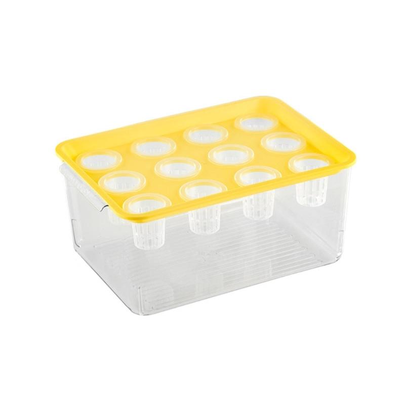 Visible Cultivation Tray Hydroponic Grower Box Container With Lid For Home Vegetables Water Based Gardening And Home Use