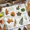 ZABC Autumn Leaves Retro Collage Stickers: DIY Journaling Material - 6 Styles