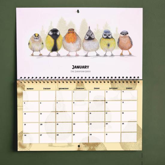 Cute Little Birdies Wall Calendar 2026 Illustrated Monthly Art Calendar Home Office Decor with Large Grids