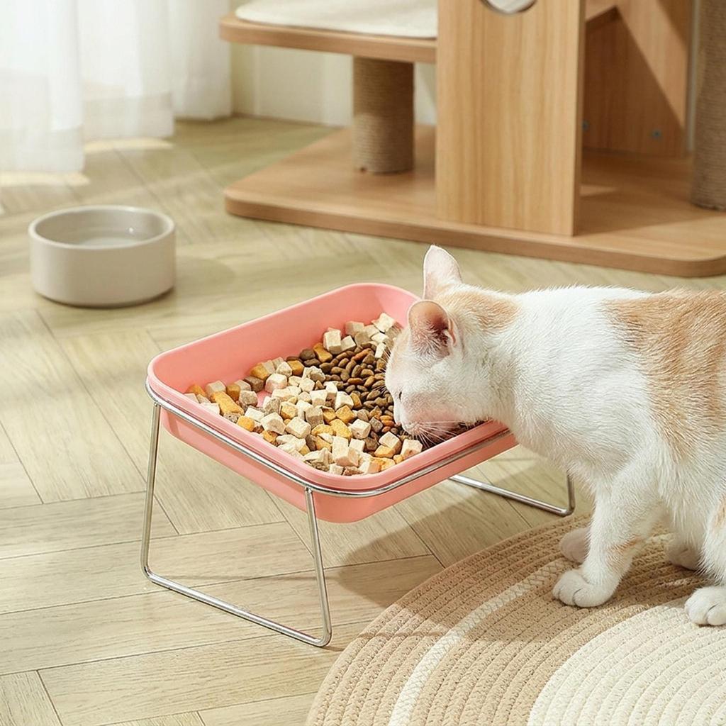 High Feeding Bowl for Cats and Dogs Slanted Ergonomic Design Detachable Easy Clean Stainless Steel Stand for Daily Meals