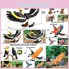 Animal Wildlife Model Solid Plastic Parrot And Hornbill Figures For Gift Kids