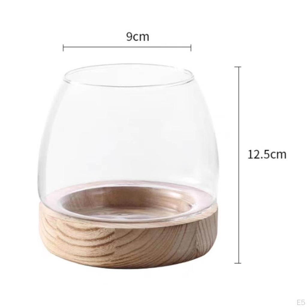Klarer Glas-Pflanztopf mit Holzsockel für die Präsentation von Zimmerpflanzen