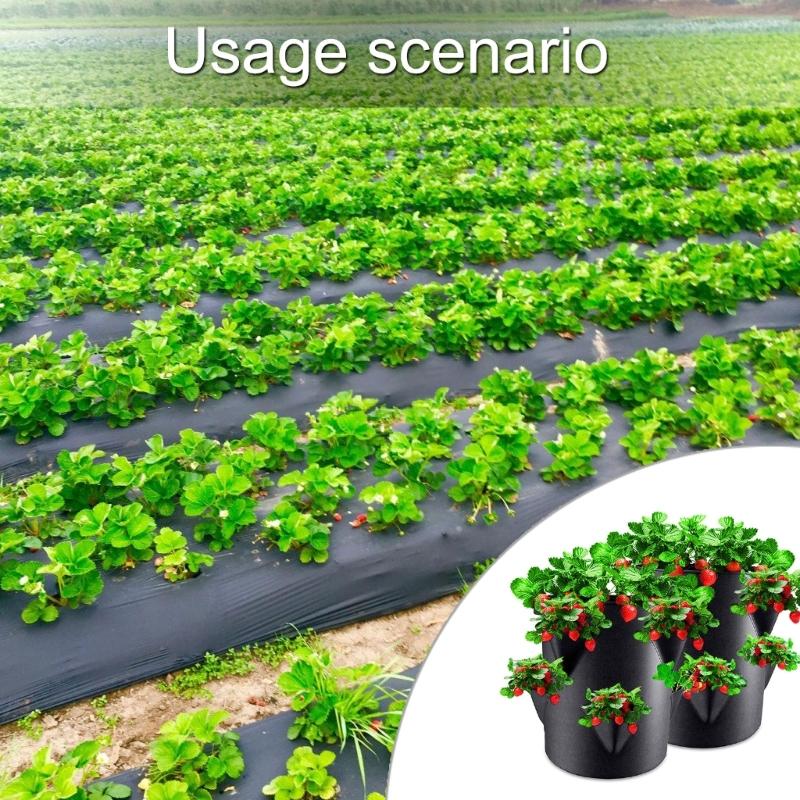 Pěstební taška na jahody Venkovní závěsný květináč Boční kapsy Skládací Opakovaně použitelná Netkaná textilie Pro zeleninu Ovoce