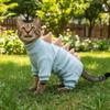 Dinosaur Shape Hairless Cat Thermal Clothing Warm Cat Vest Funny Cat T-shirt  Pets Clothing