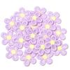 20pcs/lot Double Color Flower Mesh Embroidery Patches Applique For Girls Clothing Dress Headwear Hair Clips Decor Accessories