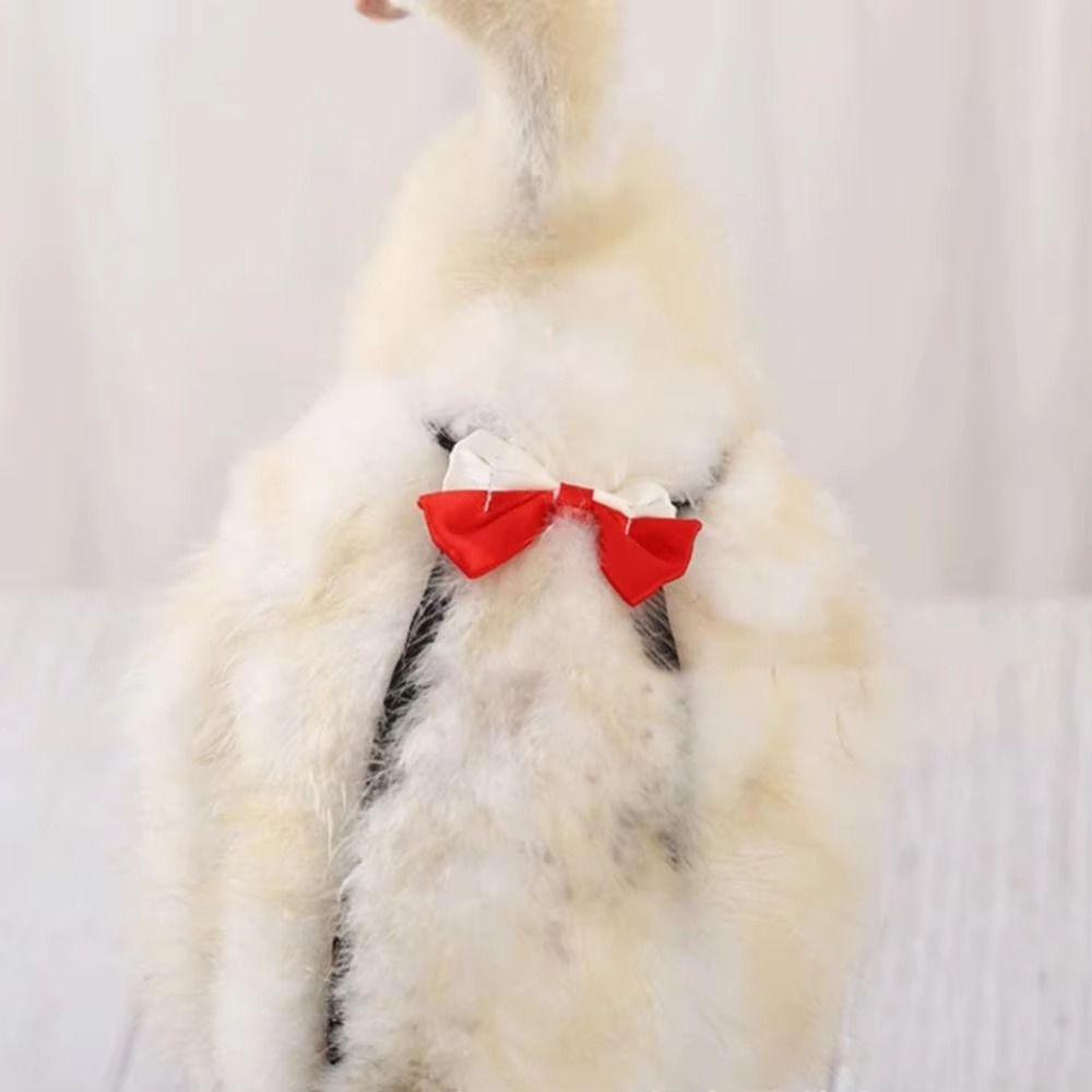 Wearable Pet Duck Diaper Reusable Poultry Costume Washable Goose Flight Suits Poultry Supplies