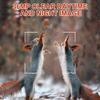 36MP Night Vision Trail Camera for Wildlife Photography