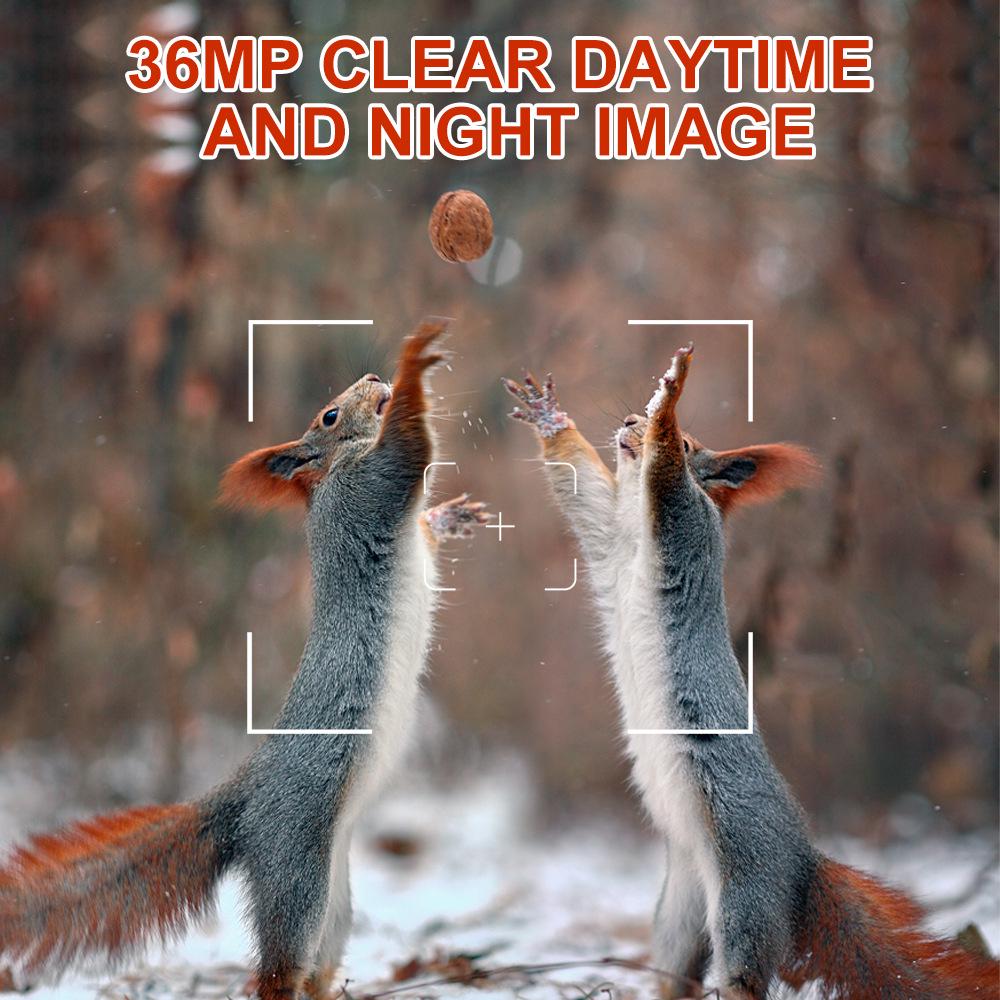 36MP Night Vision Trail Camera for Wildlife Photography