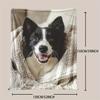 Border Collie Dog Print Throw Blanket - Cute Pet Animal Motif Soft Lightweight Accent for Sofa Bed Travel Office Gift
