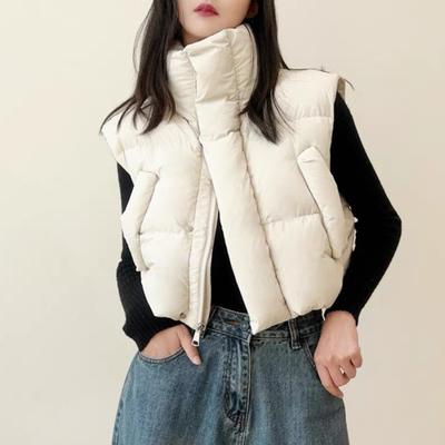 Dicke warme Weste für Damen, Herbst/Winter, Reißverschluss, lockere Jacke mit Taschen, winddicht, Stehkragen, Weste für den Alltag, Dating, Straße, Büro