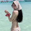 Sexy Polka Dot Bikini Three-piece Swimsuit Female Split Small Chest Gathers Hot Girls Pure Desire Thailand Vacation