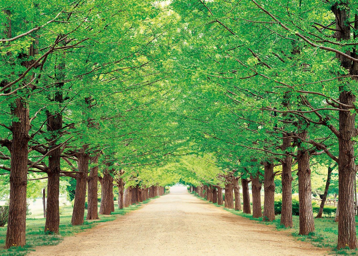 

500 Piece Jigsaw Puzzle Fresh Green Path Tokyo - (38x53cm)