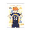 Fabric Poster Pattern Art Hinata Shoyo Haikyu!! HKK-024