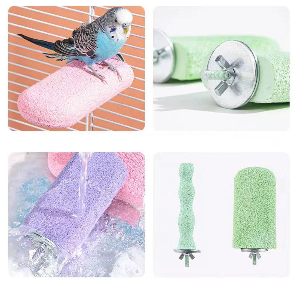 Non-slip Paw Grinding Sticks Resin Jumping Platform Bird Teeth Chew Toy Pet Bird Supplies