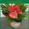Silk Plants Artificial Multi Branch Red Palm Heart Ear Leaves Wedd Office Decor