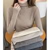 Women's Elegant High Neck Long Sleeve Winter Top